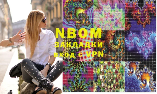 прущие грибы Вязники