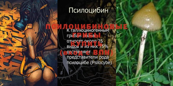 a pvp Вяземский
