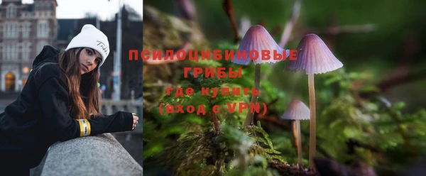 a pvp Вяземский