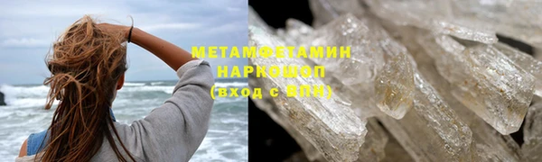 прущие грибы Вязники