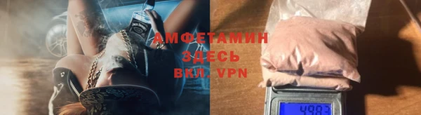 прущие грибы Вязники
