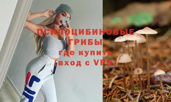 прущие грибы Вязники