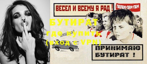 прущие грибы Вязники