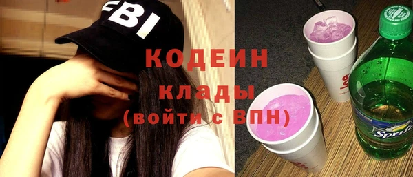 прущие грибы Вязники