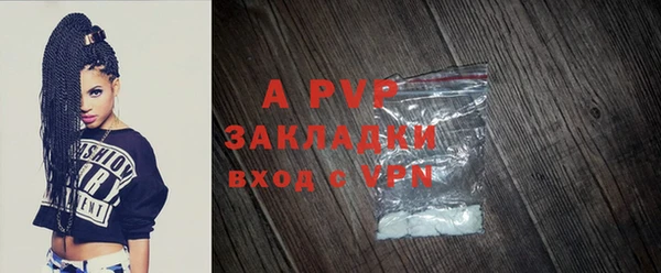 прущие грибы Вязники