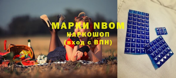 прущие грибы Вязники