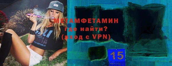 прущие грибы Вязники