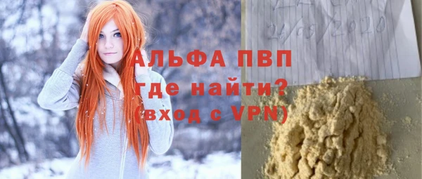 прущие грибы Вязники