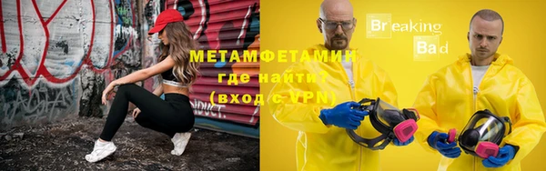 прущие грибы Вязники