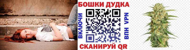 где купить наркоту  MEGA ССЫЛКА  Бошки марихуана White Widow  Новосибирск 